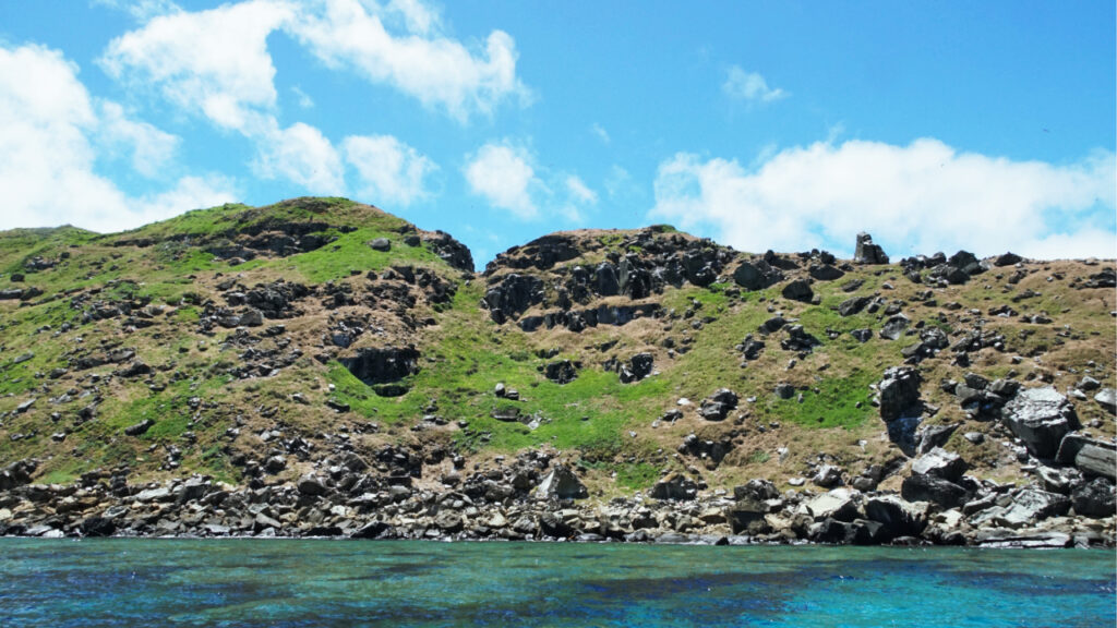 仲の神島の一部の画像