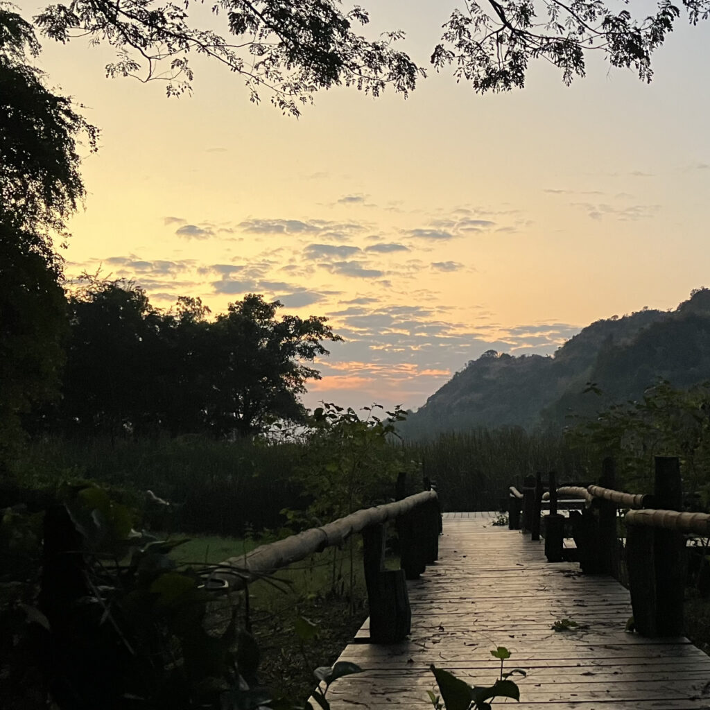 バーンマカーネイチャーロッジ(Baan Maka Nature Lodge)にある早朝の池の画像