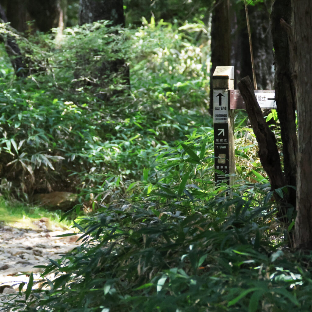 大台ヶ原の尾鷲辻に向かう分岐点