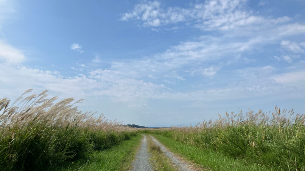 仏沼のじゃり道がある散策路