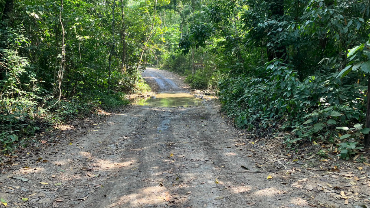 Kaeng Krachan National Park (ケーンクラチャン国立公園)の舗装されていない道