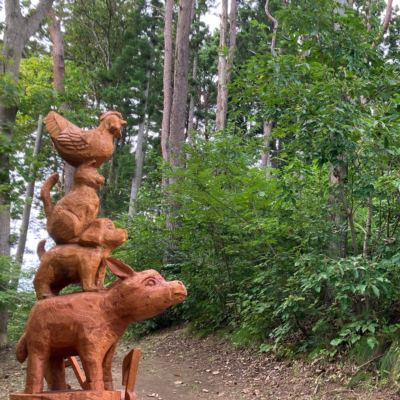 下田公園にある林の散策路