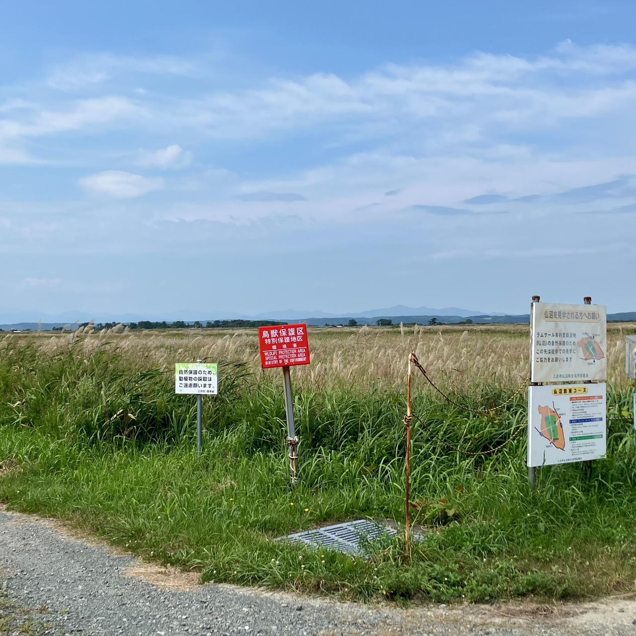 北口駐車場すぐの散策路