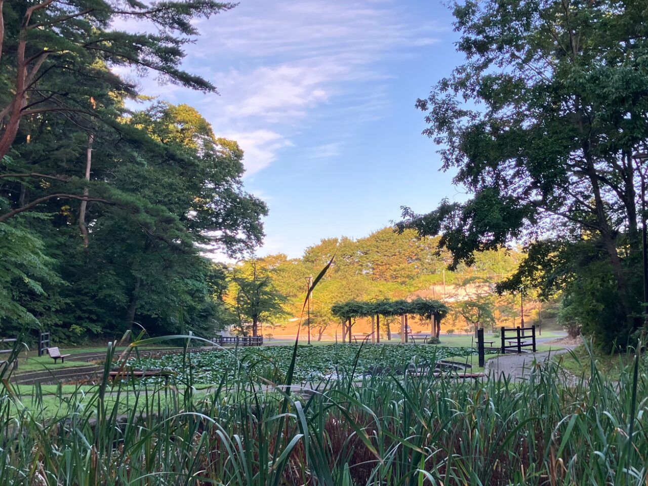 青森県の三沢公園の広場の画像