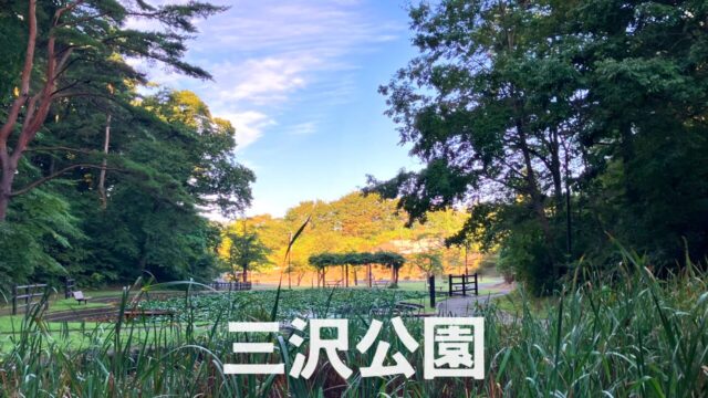 三沢公園｜青森県